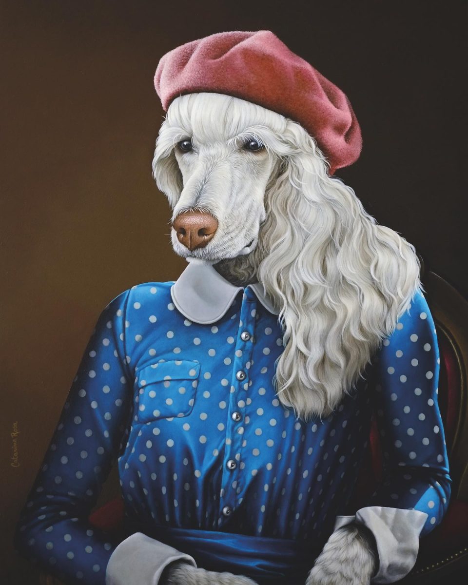 Imagem de destaque de Amélia Foz