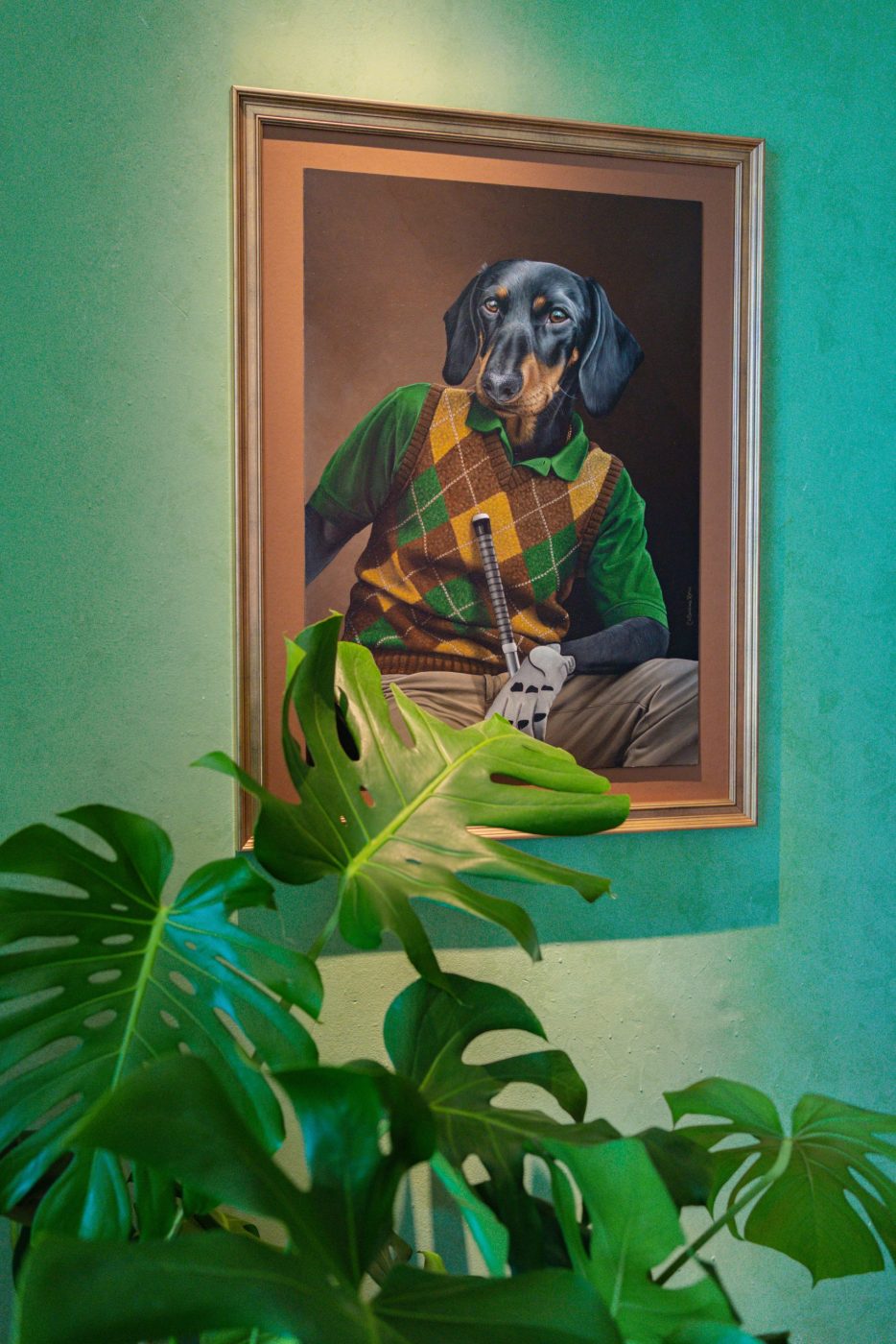Galeria de Nicolau Cascais - imagem 7